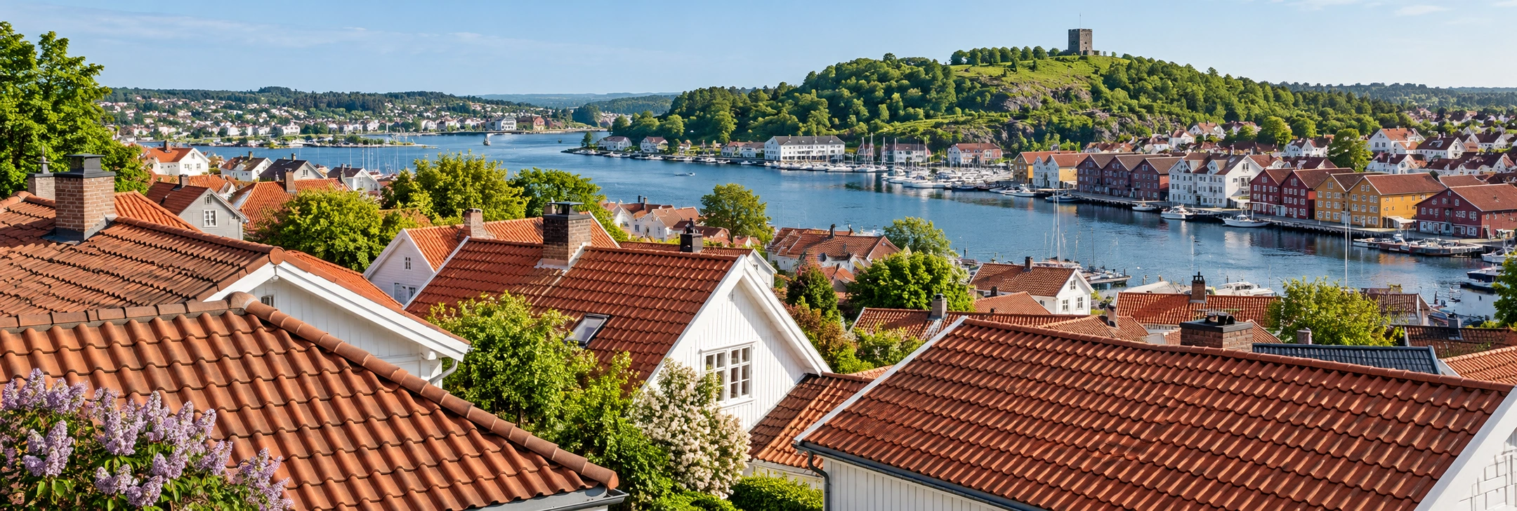 Illustrert taklandskap og bebyggelse i Vestfold